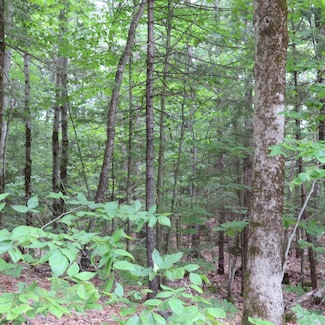 Lot 67 Sandwich Slopes Rd, Sandwich, NH 03227