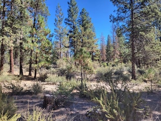 Lot  121 Sleepy Hollow Rd, Dorris, CA 96023
