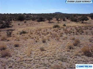 #31 Running Iron Ridge, Tyrone, NM 88061