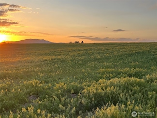 450 Bohart Rd, Wenatchee, WA 98801