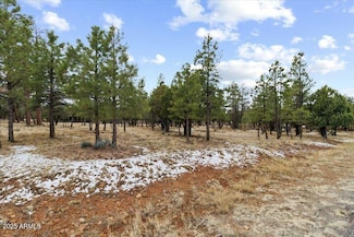 4995 Starlight Dr Unit 150, Happy Jack, AZ 86024