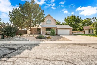 730 Pinyon Ct, Fruita, CO 81521