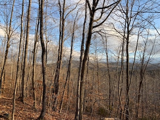 Lot 2 Mooseley Ridge Rd, Phillips, ME 04966