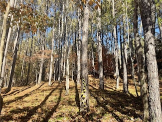 214 Oakmont Ct, Sunset, SC 29685