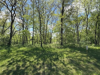 176 Beyers Lake Estates, Pana, IL 62557