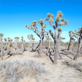 0 W Ave 12 Unit PW24252907, Llano, CA 93544