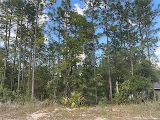 9501 N Akola Way, Citrus Springs, FL 34434