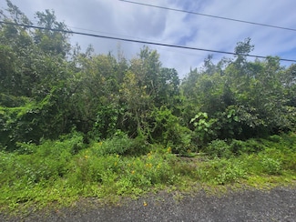 0 Ainaua Place, Pahoa, HI 96778