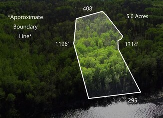 Lot 11 - TBD Driftwood Ln NW, Baudette, MN 56623