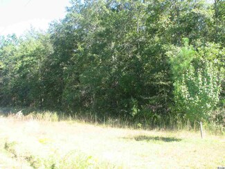 Tract 12 Gapway Rd Unit Kent Section, Andrews, SC 29510