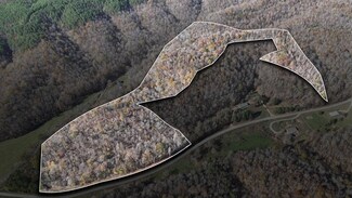0 Downing Hollow Rd, Waynesboro, TN 38485
