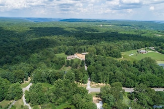 46 acres Alabama 79, Scottsboro, AL 35768