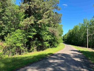 TBD County Road 127, Gary City, TX 75643