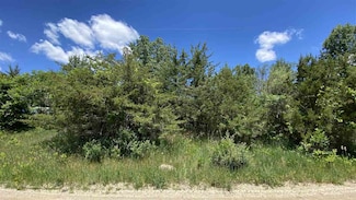 11770 Penlawn Dr, Jerome, MI 49249