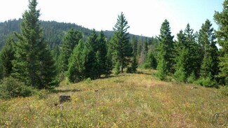 lot 1 Fork Ashby Creek Rd, Potomac, MT