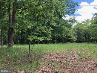 Lot 2 Jones Springs Rd W, Hedgesville, WV 25427