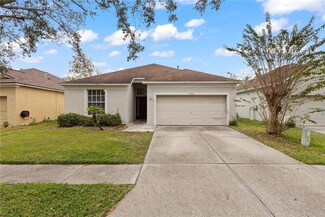 19135 Wood Sage Dr, Tampa, FL 33647