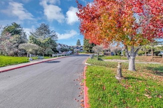 203 Vista Prieta Ct, Santa Cruz, CA 95062