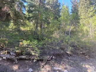 135 J Quaking Aspen Dr Unit J135, Fairview, UT 84629