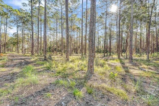 0 E Bay Rd Unit G, Foley, AL 36535