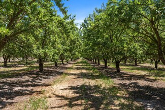 16161 Murphy Rd, Escalon, CA 95320
