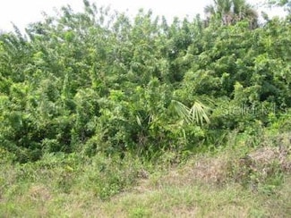 8210 Ebson Dr, North Fort Myers, FL 33917