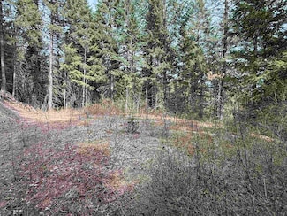 NNA Buck Creek Rd, Loon Lake, WA 99148