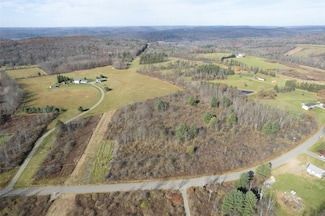 00 Lisle Rd W, Owego, NY 13827