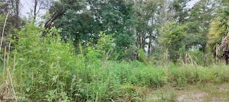 96 N Sheltering Oaks Dr, Inverness, FL 34453
