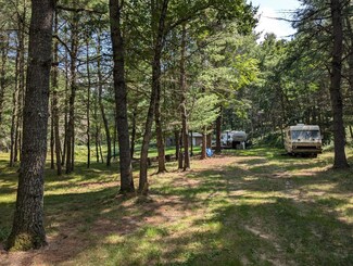 5063 W Long Dr, Baldwin, MI 49304
