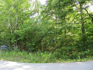 Lot 12 Red Cloud Rd, Ten Mile, TN 37370