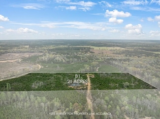 Stephens Cemetary Rd, Silver Creek, MS 39663