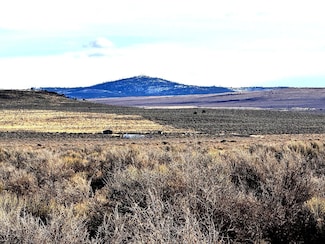 Oil Drill Rd, Silver Lake, OR 97638
