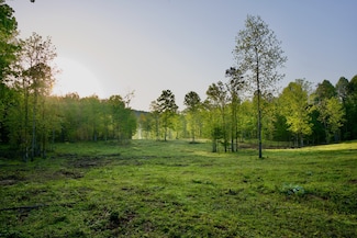 40 Barker Cove Loop, Palmer, TN 37365
