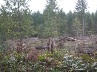 111 Wilkeson Rd East E, Carbonado, WA 98323