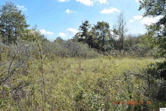 0 Folds Rd, Pioneer, LA 71266