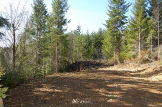 0 xx23 N Rustic Ridge Dr, Lilliwaup, WA 98555