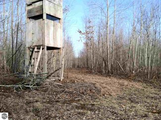 6474 E Coleman Rd, Clare, MI 48617