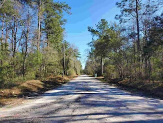 0 Choctaw Rd Unit 393947, Crawfordville, FL 32327