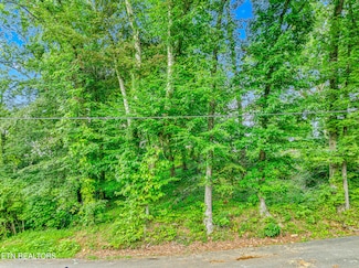 278 Harvest St, Newport, TN 37821