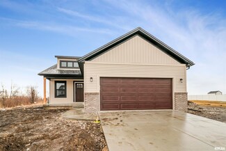 3822 W Fiona Way, Dunlap, IL 61525