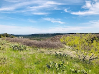 Lot 220 Oak Tree Dr, Possum Kingdom Lake, TX 76449