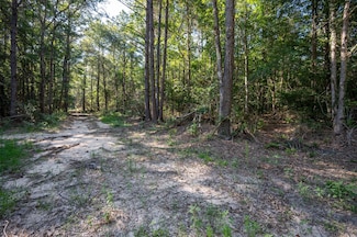 tbd County Road 3000, Woodville, TX 75979