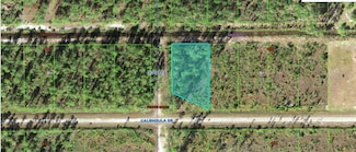 624 Calendula Dr, Indian Lake Estates, FL 33843