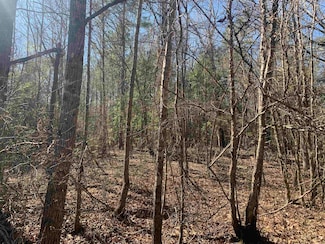 Hwy 8 Cr 203, Princeton, AR 71742