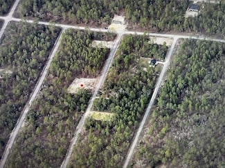 0 Narcissus Rd, Dunnellon, FL 34431