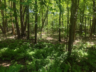0000 Silver Rd, Glenn, MI 49416