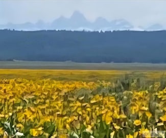 3205 Sheep Creek Rd, Island Park, ID 83429