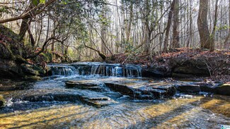 0 Highway 29 Unit Archie Williams Rd, Hamilton, AL 35570