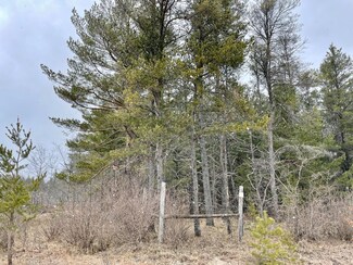 0 Mathews Rd Unit 10 acres 201817906, Lewiston, MI 49756